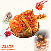 대전선화동 실비김치 명촌가 매운김치, 2kg