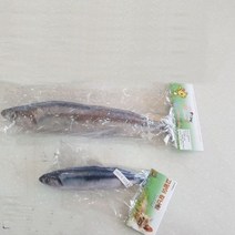 고양이 장난감 꽁치(20cm), 9개