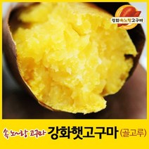 2022년 강화속노랑고구마 강화도호박고구마 햇고구마 [중간크기] 5kg 10kg 선택., 1박스, 선택8. 혼합(골고루) 10kg