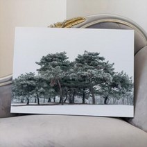 캔버스액자72.7x53 겨울소나무.꾸밈