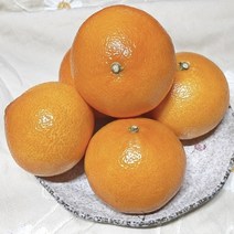 제주황금향 금귤 천혜향 3kg 5kg 황금향, 하우스 황금향 2kg 7-15과