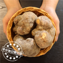 우수농산물 GAP 인증 뮤신듬뿍 애플마 둥근마 특품 3kg