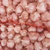 2022년 창녕 햇마늘 특대 5kg 출시 난지형 산지직송 햇양파 통마늘 산지직송 흑마늘용 요리용 김장용 국내산, 22년 햇마늘5kg+22년 햇양파5kg