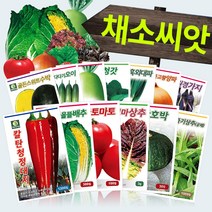 다농 채소 씨앗모음전 - 열매채소 뿌리채소 잎채소 쌈채소 고추 토마토 배추 무 상추 갓 파 부추 호박 가지 딸기 오이 멜론 여주 수세미 박 씨앗 종자, AE08=맛짱미니청오이씨앗10립!