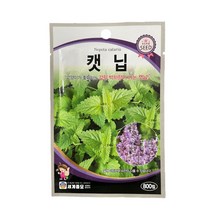 캣닢 씨앗 800립 [23년포장] 박하향이 나는 고양이가 좋아하는 캣닢 종자