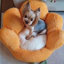 마츠리센 꽃잎 강아지 고양이 소형견 대형견 베개 배게 애견쿠션, 옐로우