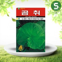 곰취씨앗 100립 산나물 산채류 쌈채소, 상세페이지 참조