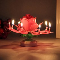 촛불멜로디연꽃초 생일축하 멜로디 생일초 연꽃초, 8촛불_원형판핑크
