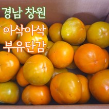 경남 창원 단감 감 부유단감 5kg 소과 중과 대과, 창원부유단감_5kg_소