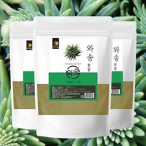 국내산 100% 순수 와송(바위솔)분말 500g 대용량, 와송분말 500g 2통 (국내산)