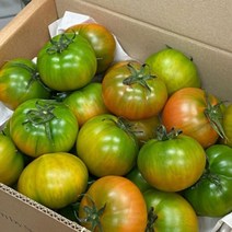 부산 대저 짭짤이토마토 2.5kg 로얄과 중과 대과 짭짤한토마토 고당도 짭짜리 대저토마토, 중과 2.5kg
