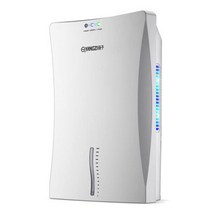 제습기110v 220v 지능형 제습기 에너지 절약 수분 흡수기 건조 의류 정화 공기 원 버튼 작동 가정용, 05 C 110V_04 Au 플러그