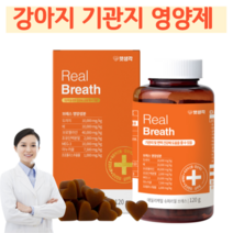 강아지 기관지 호흡기 기침 영양제 면역력 강화 강아지 거위소리 켁케거림 편안한 호흡 120g, 1개