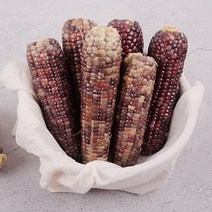 옥과농협 찐 흑찰옥수수 특품 3개입 X 4팩 15cm 내외 (냉동), 단품