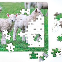 노인퍼즐 치매예방퍼즐 인지능력향상 퍼즐 놀이, B-8