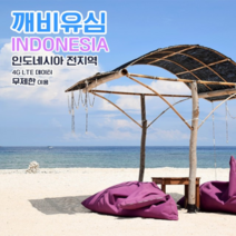 깨비유심 인도네시아 전지역 4G LTE 데이터 8일 이용 유심 출국전 불량 유심 확인 가능 (4362533), 김포 공항 수령