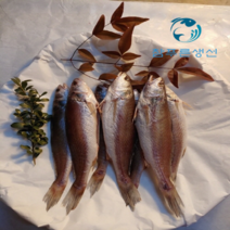 반찬용 식사용 손질되어 먹기 편한 반건조 민어조기 영상가이석태 말린생선, 27cm 3마리