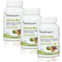 독일직구 SanaExpert LeberVital Pro 밀크 엉겅퀴 울금 민들레 아티초크 3 x 120 캡슐, 수량, 상세참조