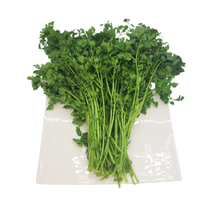 야채24닷컴 처빌 차빌 허브 생잎 1kg, 1개