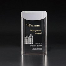 퇴임감사패 퇴직패 정년퇴직선물 공로패 상패, 기본 : 상세페이지 참조