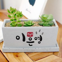 직원 모임 친구의 예쁜 네임 캘리그라피 메세지 미니화분, 와이드화분(+18000원), 그레이, 뒷면인쇄선택(+5000)