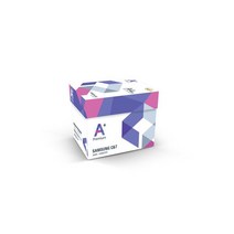 삼성 에이플러스 A4용지 A4 복사용지 80g(1박스) 2500, 삼성 에이플러스 A4용지 A4 복사
