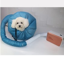 이퍼피 가정용 펫 드라이룸 소형견 고양이 반려동물 미용, 블루, 01