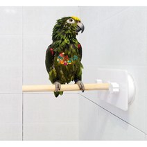 중소형 앵무새 원목 놀이터 그네 사다리 막대기 선반, N711 흡반광면 스탠드바