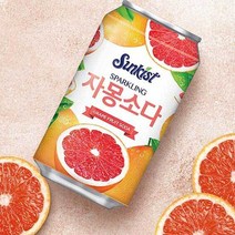 스파클링 자몽주스 355ml 24개 뚱캔 탄산음료 자몽소다 에이드 썬키스트 과즙 대량 구매