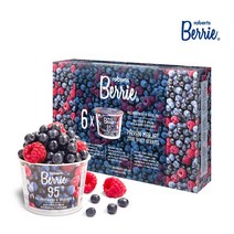 로버츠베리에 야생 빌베리+라즈베리 100ml x 12ea, 단품, 단품