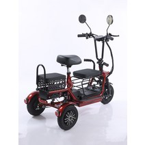 전동 스쿠터 출퇴근 바이크 3륜 세발 배달용 운반차, 25A 리튬 배터리 100km  3인승 48V