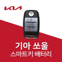 쏘울 차키 건전지 스마트키 배터리 밧데리 약, 10개