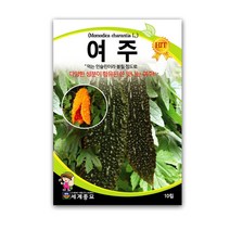 모칸도 세계 여주(일본종) 10립, 1개