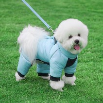 강아지패딩올인원 발열 기모 히트텍 슬개골 하네스일체형 입히기쉬운 롱 이지웨어 삼삼, 홀로그램핑크