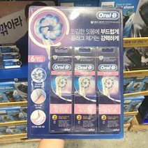 ORAL-B 오랄비 전동칫솔모 6개입 초미세모 EB60, 단품