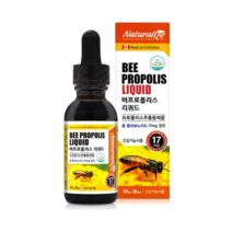 네추럴라이즈 비 프로폴리스 리퀴드 30ml, 1통