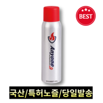 가정용 자동차 애니원119 스프레이 소화기 실버 450g, 2개