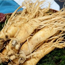 금산 인삼 5~6년근 수삼모음 가정용 식당용 750g 가성비제품, (무료세척) 원수삼 대 9~11뿌리