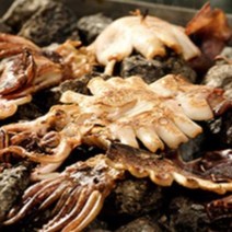 피데기 반건조 오징어 반건 말린 마른 건조 구룡포, 피데기 반건조 5미 450g, 1개