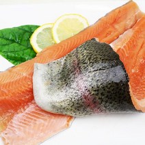 원복 평창 송어회포1미(420g내외), 단품