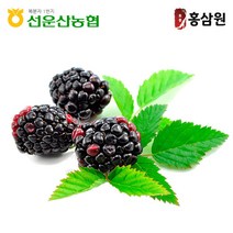 복분자생과 5kg 냉동 트레이 전북고창 선운산농협, 복분자생과 5kg 냉동벌크