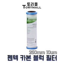 펜텍 EPM-10 카본 블럭 필터 250mm 10um, 품번
