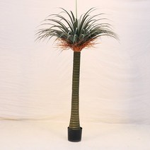 [둥둥이몰]드라세나 드라코 조화(160cm)집들이 개업선물, 1개