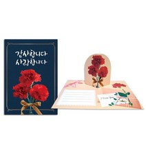 어버이날 감사 메세지 입체 카네이션 카드 만들기 미술 손힘기르기 마을강사 주일학교 인성