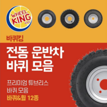 바퀴킹 프리미엄 전동운반차 바퀴모음 전동차 튜브리스 각종제품호환, 7. CT4021, 좌