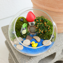 [테르테라] 숲속 연못 테라리움 DIY 키트