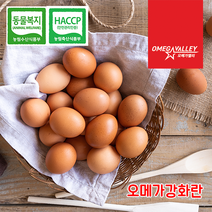 1등급자연방사달걀 TOP20으로 보는 인기 제품