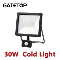 방폭등 LED 내압 산업용 모션 센서 Led 투광 조명 30w Ip65 차가운 백색광 6000k 인체 유도 방수 램프, [01] Induction type 30W, [01] 30W, [01] 6000k