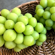 국내산 프리미엄 망고포도 고당도 샤인머스켓 1킬로(2-3수) 2킬로(4-6수) 농장 직배송, 1개, 1KG(2-3수)