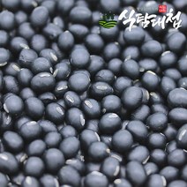 식탐대첩 22년 국내산 서리태콩 1kg, 단품